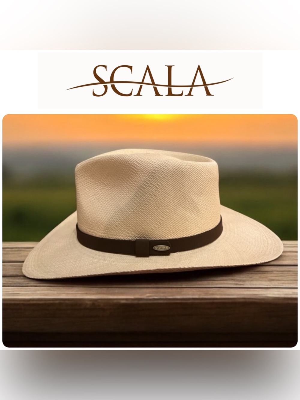 Scala Men’s MEDIUM Albuquerque Style Woven Panama Hat